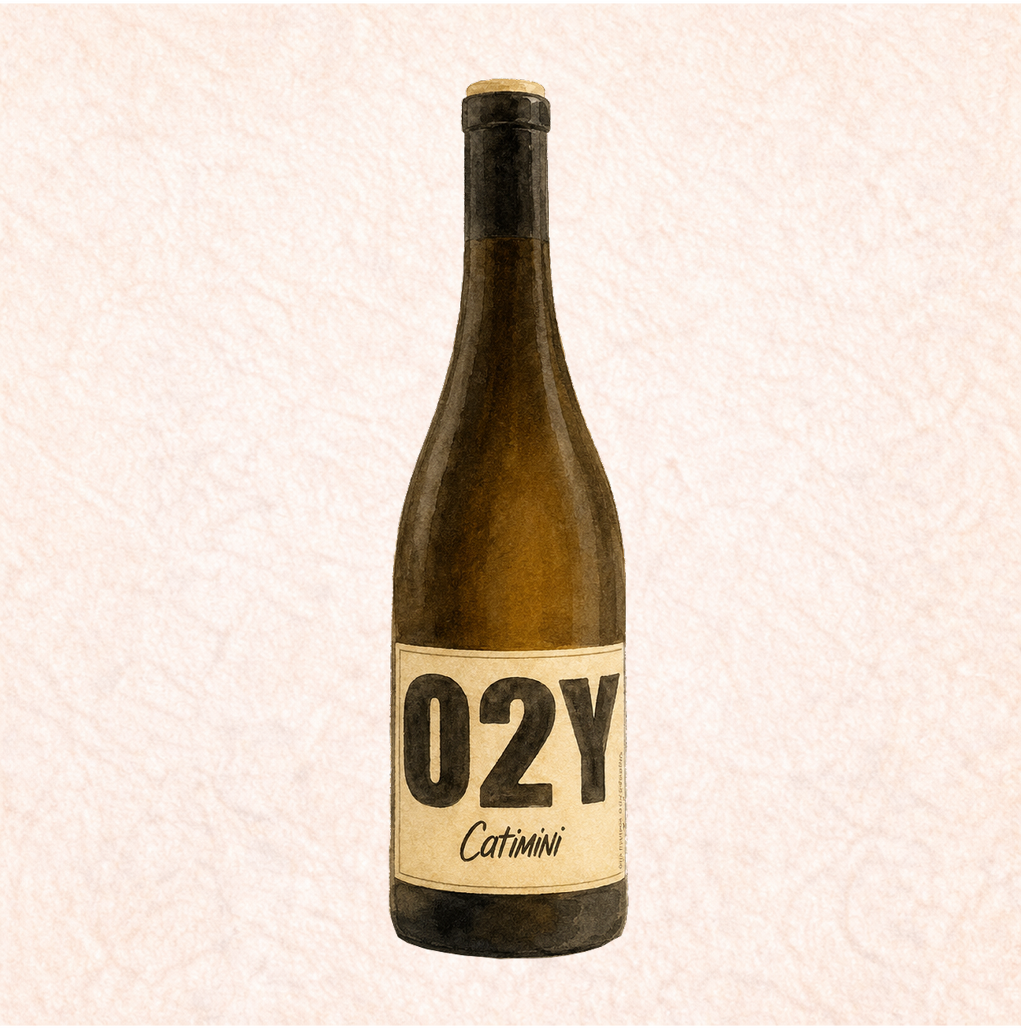 O2Y - Catamini 2022